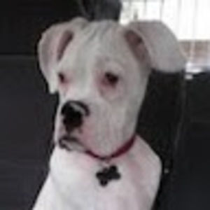 Meet your Posher, Annette